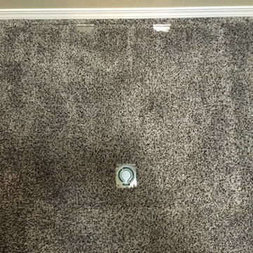 Carpeted Trap Door