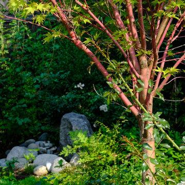 Pollinator Haven