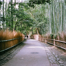 Au Pays Zen ...