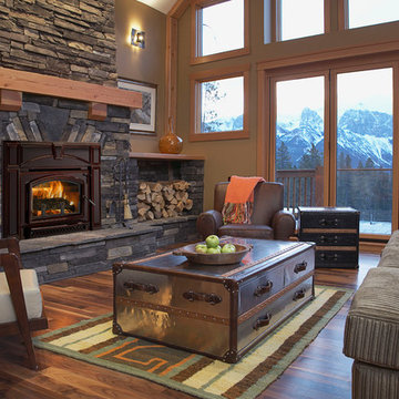 Wood stove inserts