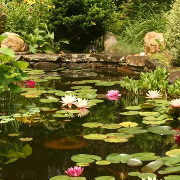 Residential Pond Gallery