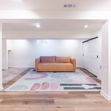 Luxury Basement Finishing Chicgo I $150K Moder Transformation