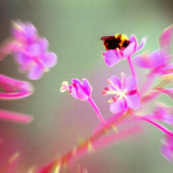 Bumblebee on Wildflower - Artwork