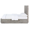 Modus Alexandra Solid Wood Queen Storage Panel Bed in Rustic Latte