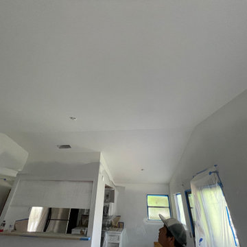 Condo Facelift, paint, smooth ceiling, can lights