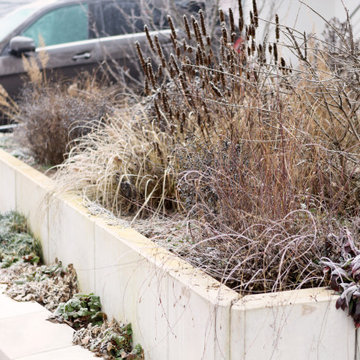 moderne Vorgartengestaltung mit insektenfreundlicher Bepflanzung