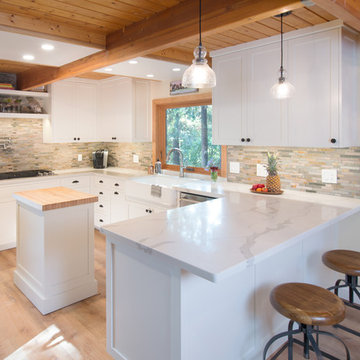 #411 - Remodel - Concord (45066)