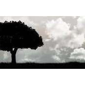 Kellie Griffin's photo
