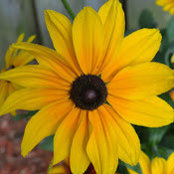 Arun P's photo