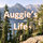 auggies_life