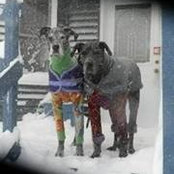 Julie Coté's photo