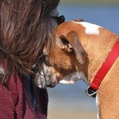 Teresa Novinger's photo