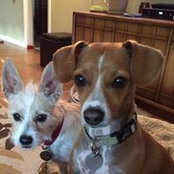 Carole Kanegae's photo