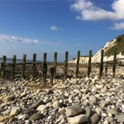 Jane Taylor-Monin's photo