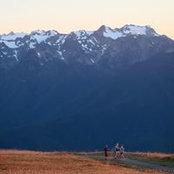 Susan Rhine's photo