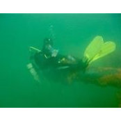 Matthew Oswald's photo