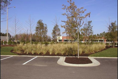 Photo of a modern landscaping in Other.