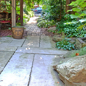 Urban Oasis