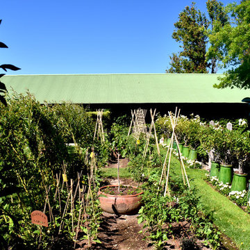 Vegetable Garden & Trellis