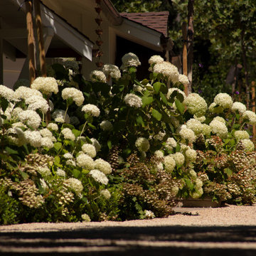 White Flower House