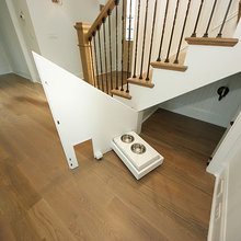 Pet Space