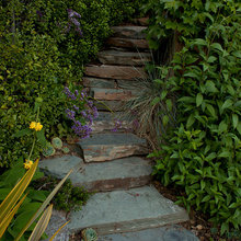 Exterior Ideas