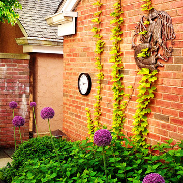 Useful and Unique Vines