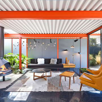 Eichler X-100 For Sale