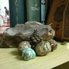 Things I Like in My Room