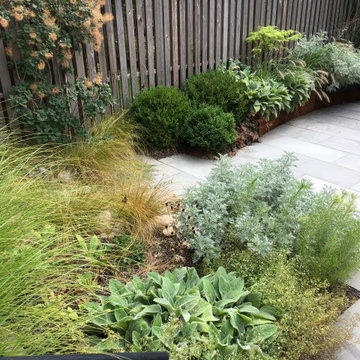 Modern Garden with Curved Corten Border