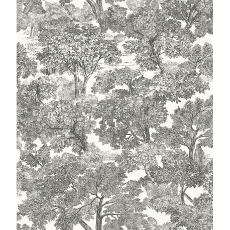 Chesapeake by Brewster 3115-12542 Spinney Black Toile Wallpaper