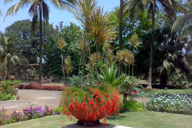 Ali Bag Landscaping Projcet