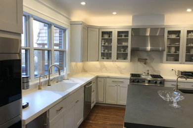 Kitchen - contemporary kitchen idea in Chicago