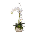 Real Touch Phalaenopsis Silk Orchid With Succulents in a Cement Pot