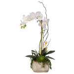 Jenny Silks - Real Touch Phalaenopsis Silk Orchid With Succulents in a Cement Pot - Simply elegant, a single white butterfly orchid rises from an ornate pot crafted in neutral tones. Bamboo supports add a realistic touch to this faux flower arrangement while cool greenery and sedum spills from the top of this pot for visual interest. Gracefully curving downward, this pretty arrangement would be a lovely touch in a guest bedroom for a welcoming look or in a living room to provide a lovely focal point. Part of our Real Touch line, this product utilizes the latest liquid polymer technology to produce the most realistic and lifelike artificial plants available. Like the name suggests, come up close, touch them and you'll still be guessing if the flowers are real or artificial. Our Real Touch flowers are one of a kind, only using the highest quality silk flowers AND they are cleanable! Simply use a brush to wipe the dust off and a damp paper towel to remove any remaining debris.