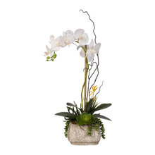 Dining table floral