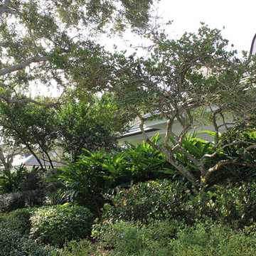 Private Residence, Jupiter