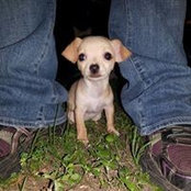 Tracy Hunt's photo