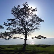 Misti Winscher's photo
