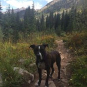 Carla Hoehn's photo