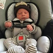 Sharree Scheibler's photo