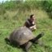 bingham doan's photo