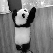 Foto de Anna Nmch