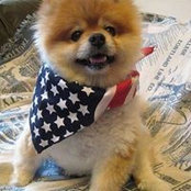Barbara Watchung NJ's photo