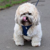 Justine Gregory's photo