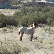 Lynne Wright's photo