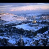 Khaled El-Banna's photo