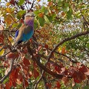 Cheryl Van Ryn's photo
