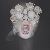 Jane Robertson's photo