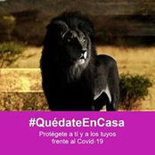 Juan Carlos Soqui's photo